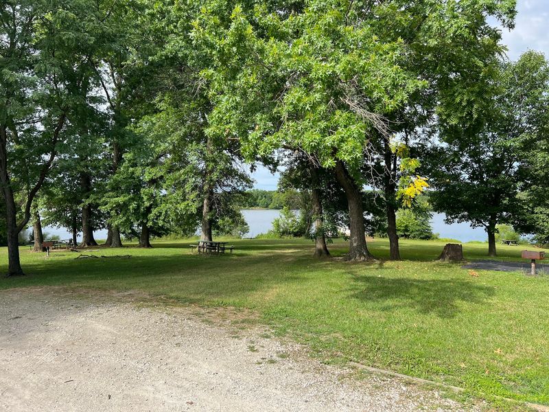 Pack A Cooler And Claim A Picnic Table Pack A Cooler And Claim A Picnic Table