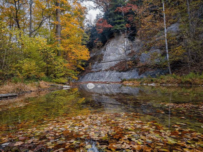 Paddle Sugar Creek While The Leaves Turn