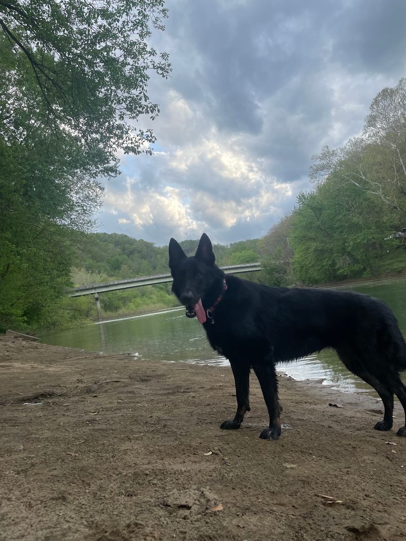 Paddles, Fishing Lines, And A Very Happy Dog