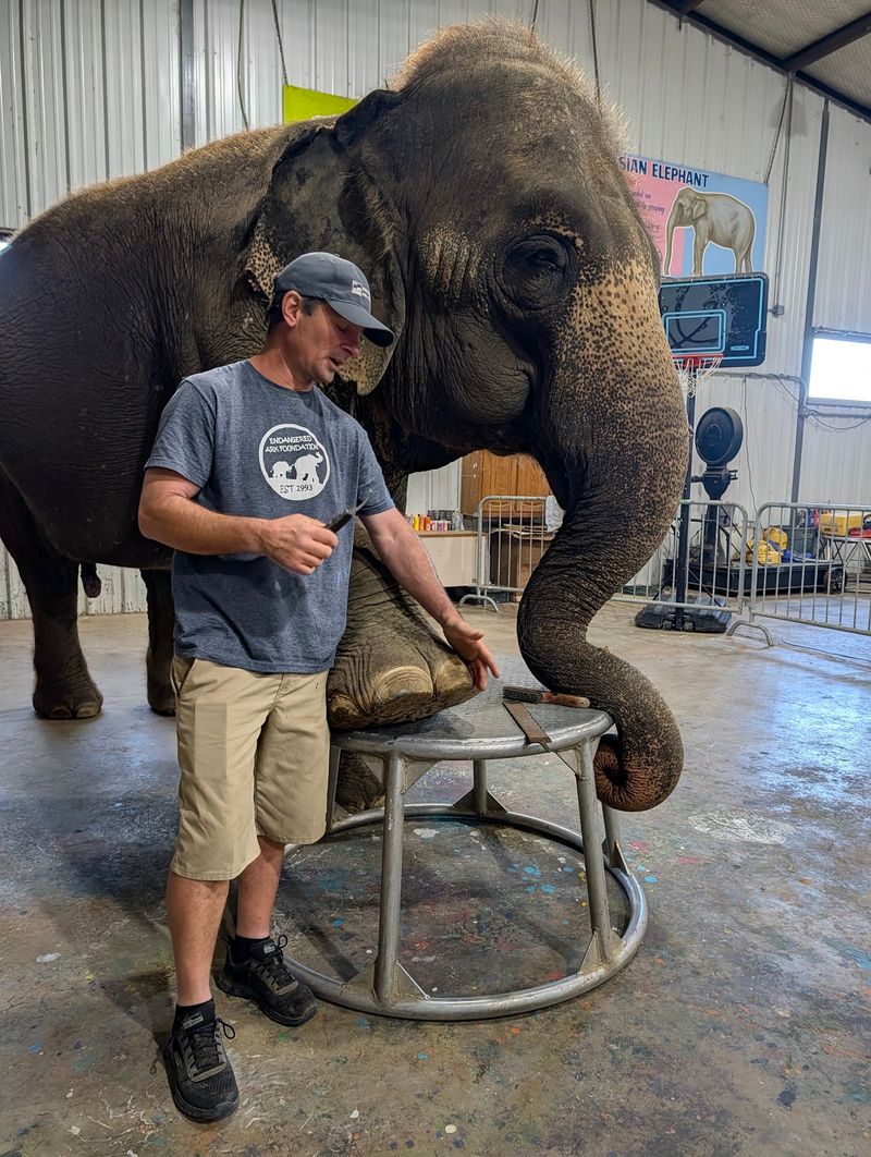 Paintbrushes, Pedicures, and Elephant Art
