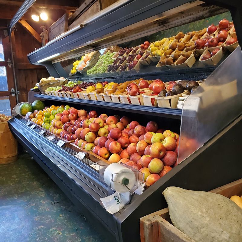 Peach Picking In New England? Yes, Really Peach Picking In New England? Yes, Really