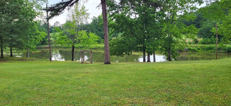Pecan Trees, a Pond, and Some Very Calm Neighbors Pecan Trees, a Pond, and Some Very Calm Neighbors