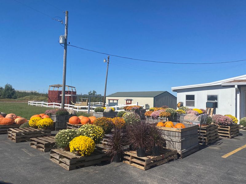Peters Orchards Retail Market