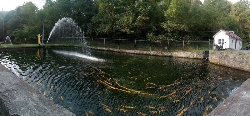 Petersburg Trout Hatchery