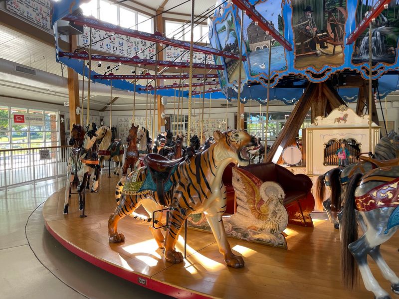 Pick Your Ride From A Lion, A Tiger, Or A Giraffe Pick Your Ride From A Lion, A Tiger, Or A Giraffe