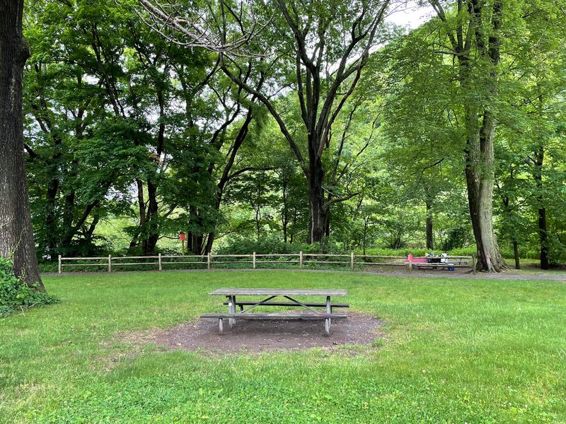 Picnic Tables in the Shade