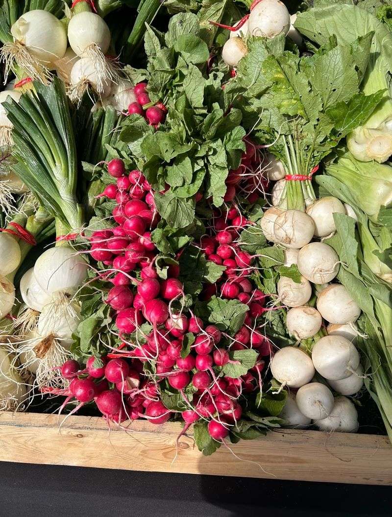 Piles Of Produce That Change With The Seasons