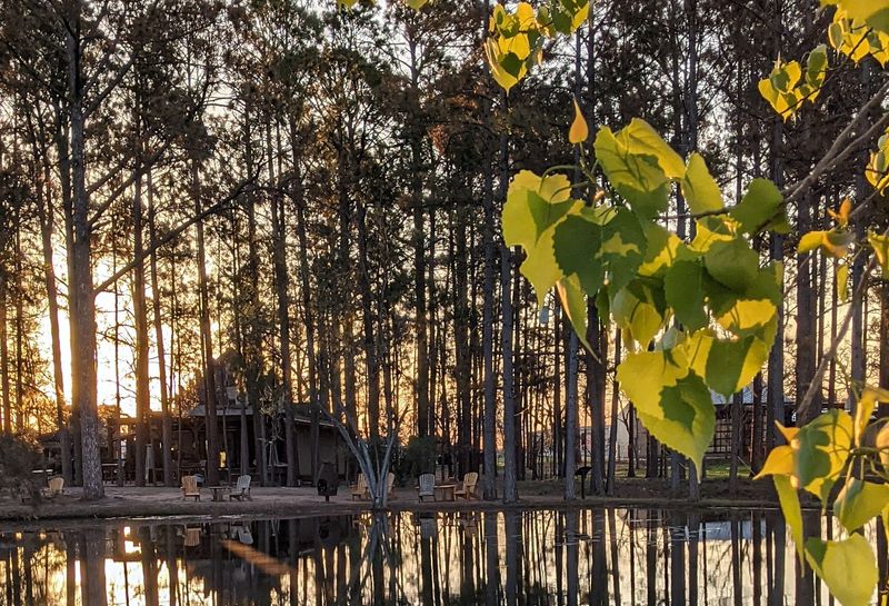 Pines, A Pond, And Zero Reasons To Rush Pines, A Pond, And Zero Reasons To Rush