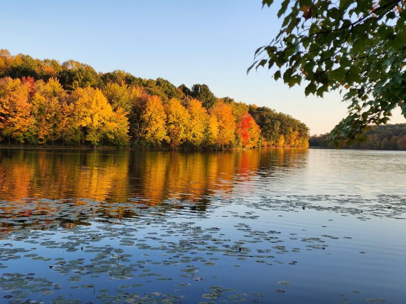 Piney Run Park, Sykesville Piney Run Park, Sykesville