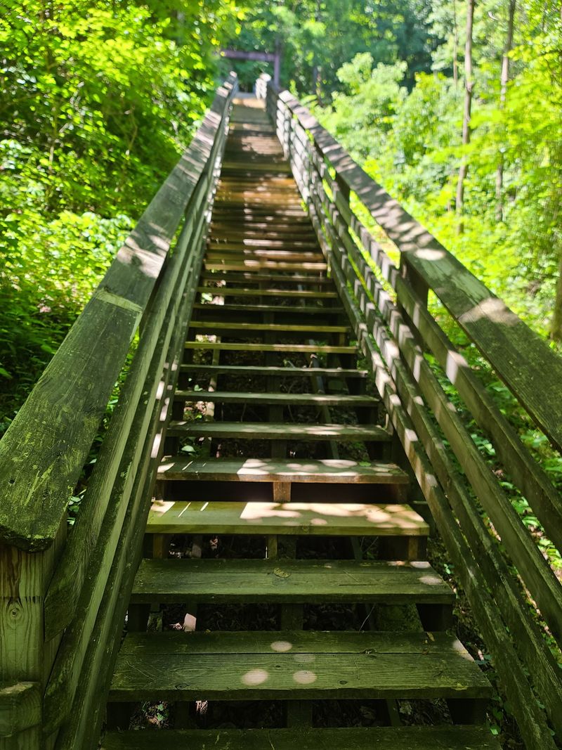Plan Ahead Before You Tackle Those Stairs Plan Ahead Before You Tackle Those Stairs