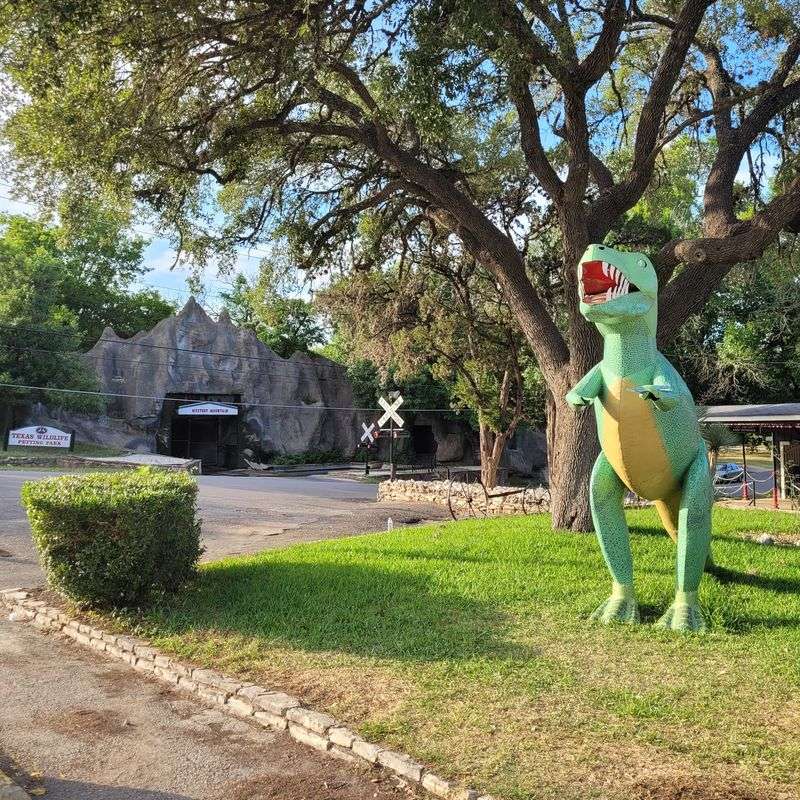 Plan Smart Before You Head to San Marcos