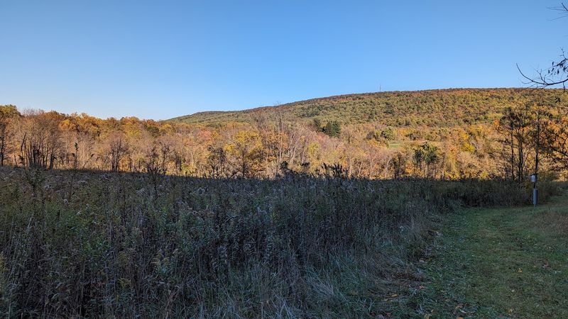 Plan Smart, Then Linger For The Mountain Views