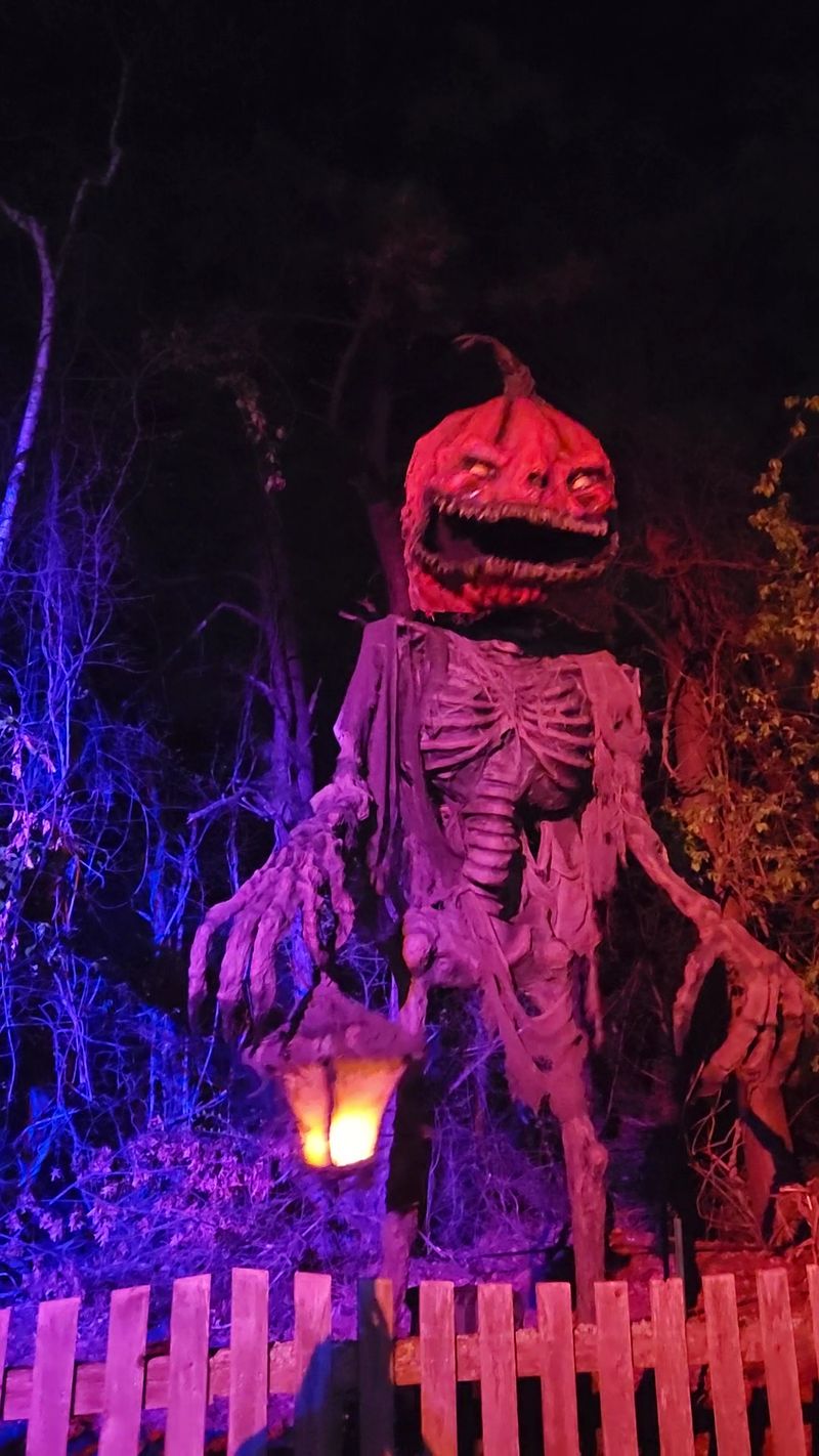Plan Your Trip Before The Monsters Clock In