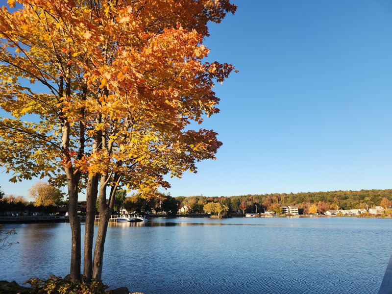 Plan Your Visit Around The Lake And You Will Not Regret It Plan Your Visit Around The Lake And You Will Not Regret It