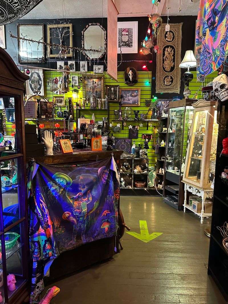 Plan Your Visit Smart So You Can Browse Every Weird Corner