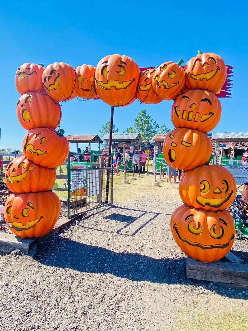Plan Your Weekend Before The Fall Season Slips Away
