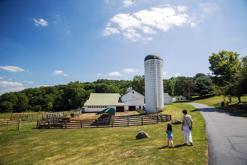 Planning Your Countryside Day