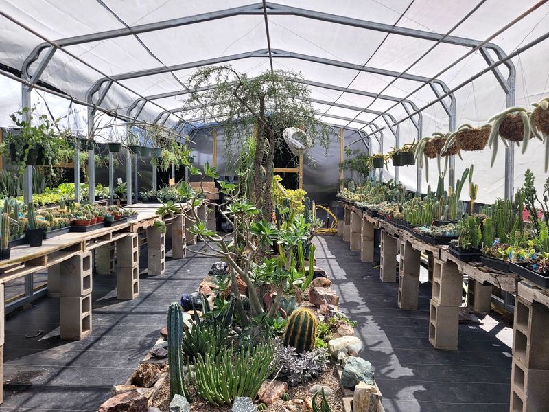 Plants Spill Off The Tables And Onto The Ground Here Plants Spill Off The Tables And Onto The Ground Here