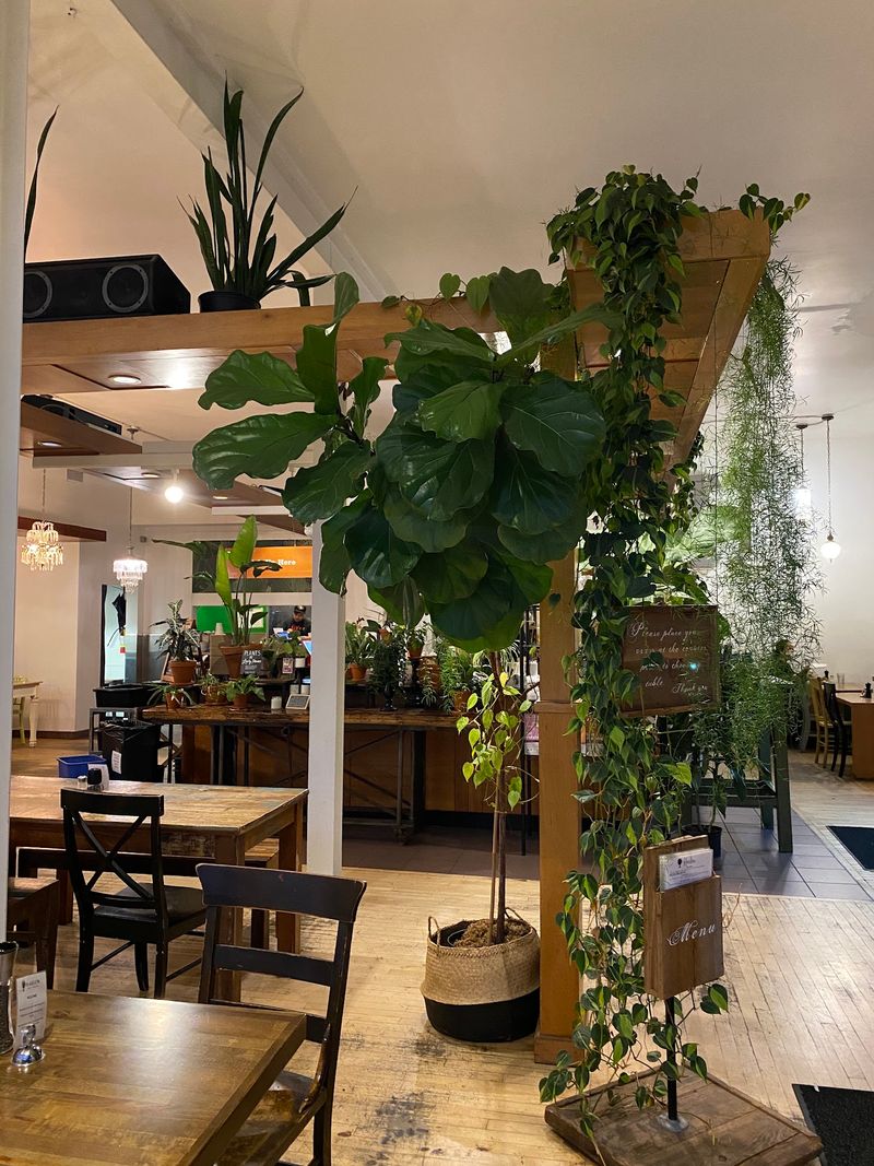 Plants, Vintage Chairs, And A Very Relaxed Mood Await