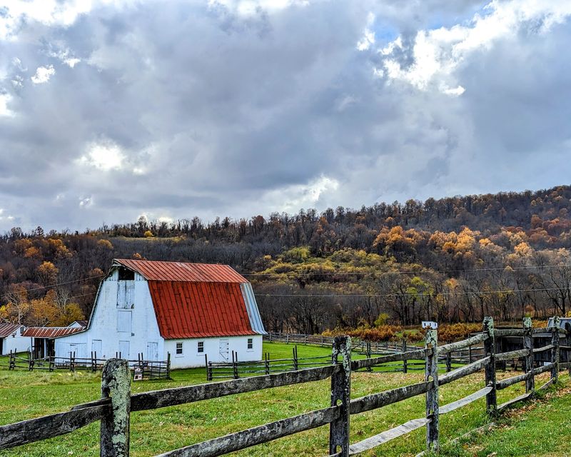 Plotting Your Trip to Delaplane