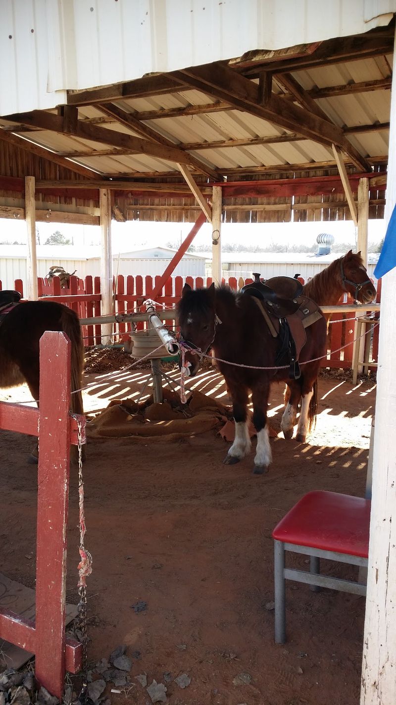 Pony Rides, Live Bands, and Cowboy Fun Pony Rides, Live Bands, and Cowboy Fun