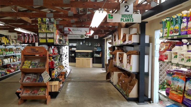 Pots, Planters, And Garden Gear Galore