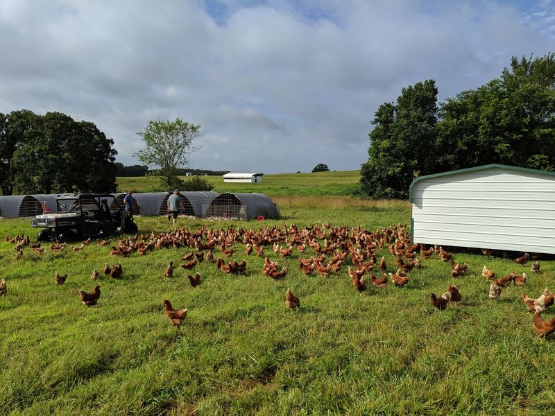 Prairie Creek Farms, Kellyville, OK