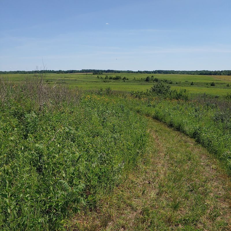 Prairie State Park, Mindenmines, MO