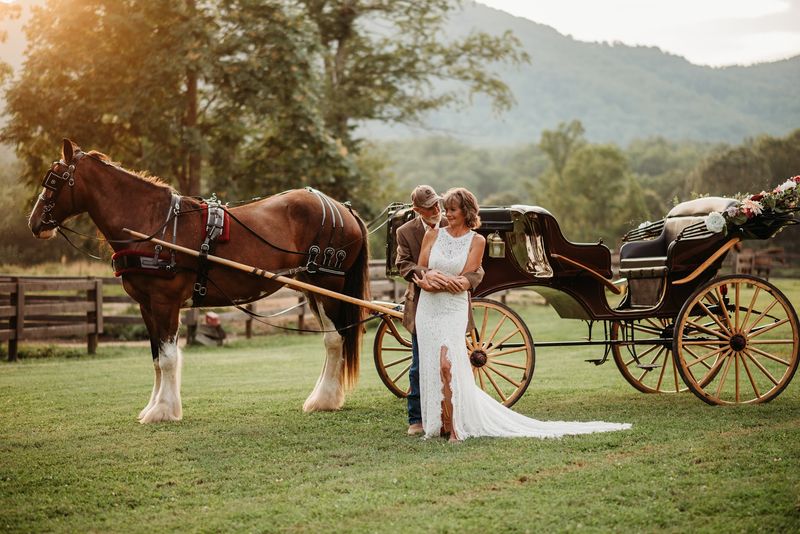 Prepare To Feel Very, Very Small Next To These Horses