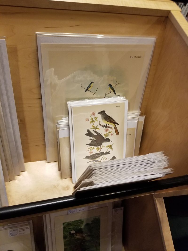 Prints That Belong in a Museum