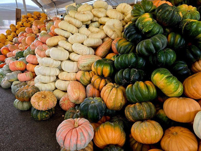 Produce, Pumpkins, and Fall Color