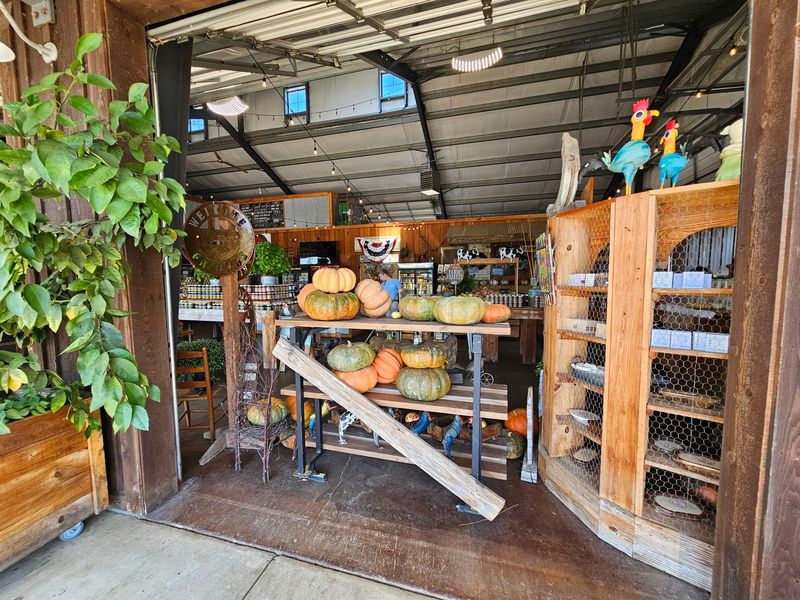 Pumpkin Season Brings the Party