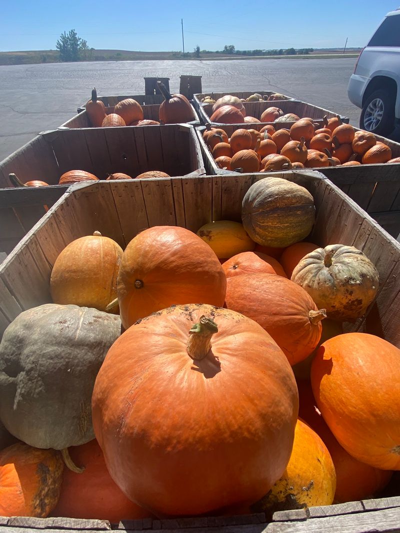 Pumpkins, Flea Markets, And Fall Fun