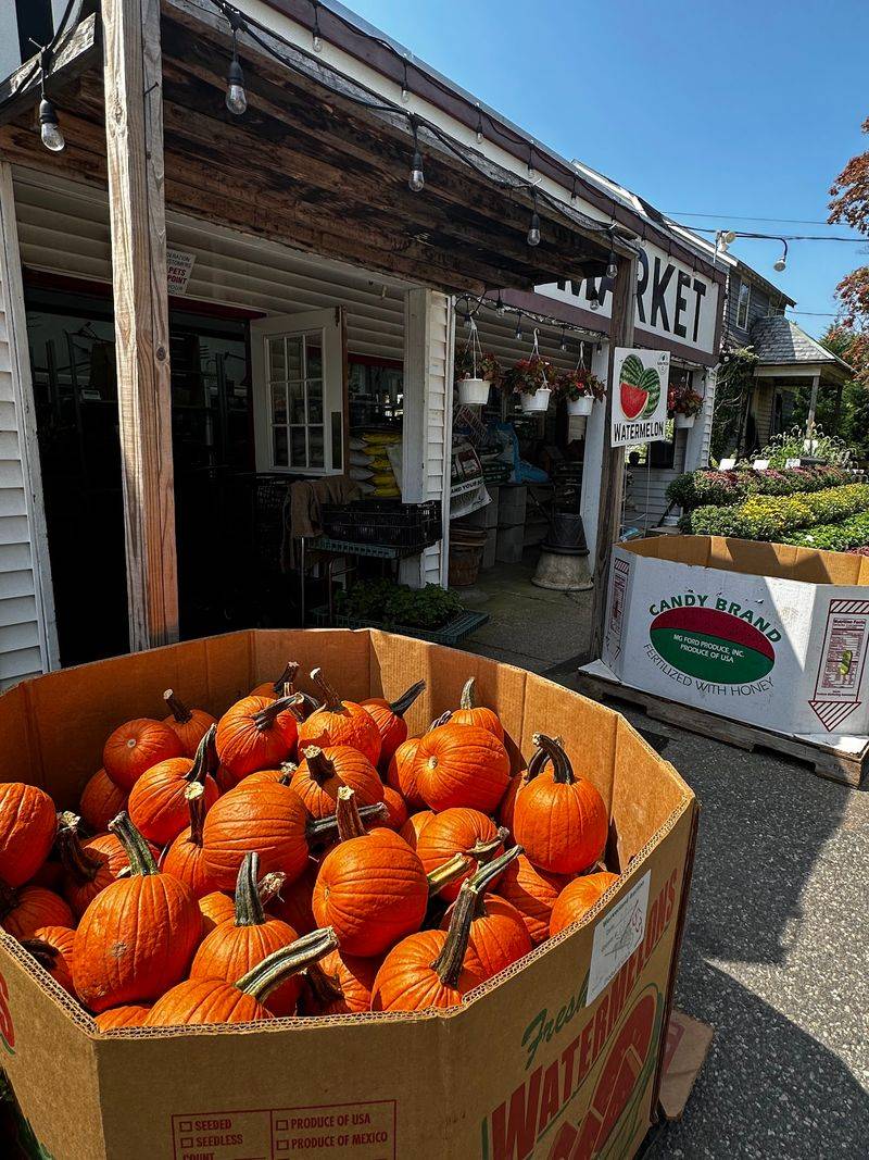 Pumpkins, Mums and Crisp Fall Days Pumpkins, Mums and Crisp Fall Days