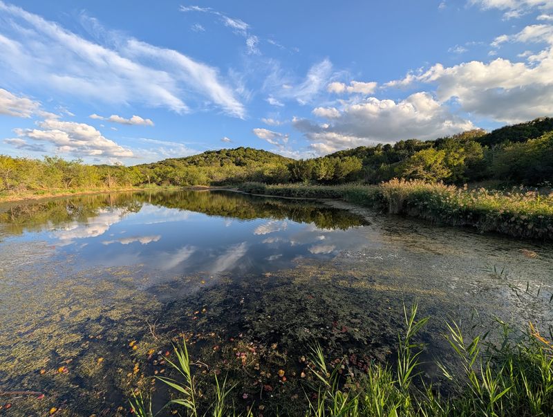 Quiet Moments at Cattail Pond Quiet Moments at Cattail Pond