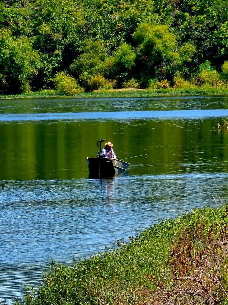 Quiet Paddling Is The Whole Point Out Here Quiet Paddling Is The Whole Point Out Here