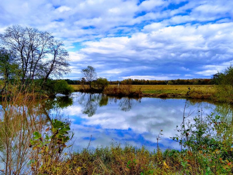 Quiet Ponds and Patient Anglers