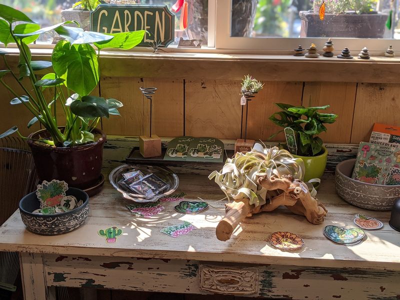 Quirky Pots, Gems And Garden Treasures Quirky Pots, Gems And Garden Treasures