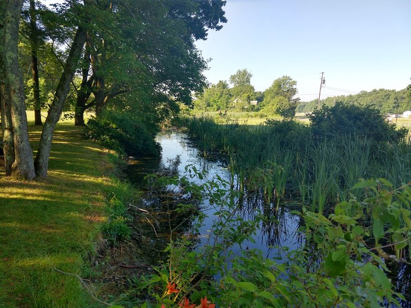 Rail-Trails Practically Beg For A Long Walk