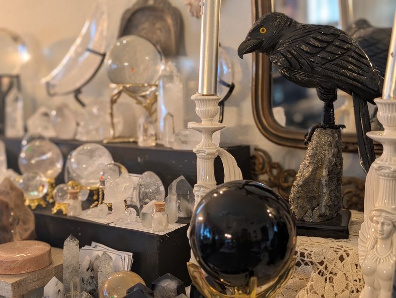 Ravens, Owls, and Taxidermy Make Great Shelf Buddies