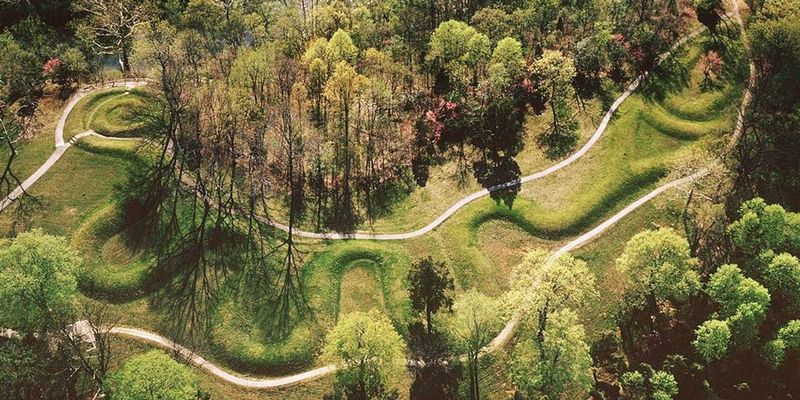 Reading the Sky Through a Snake