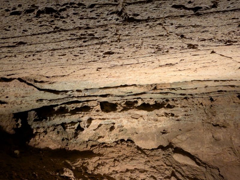 Real Scientists Still Dig Here Every Single Year