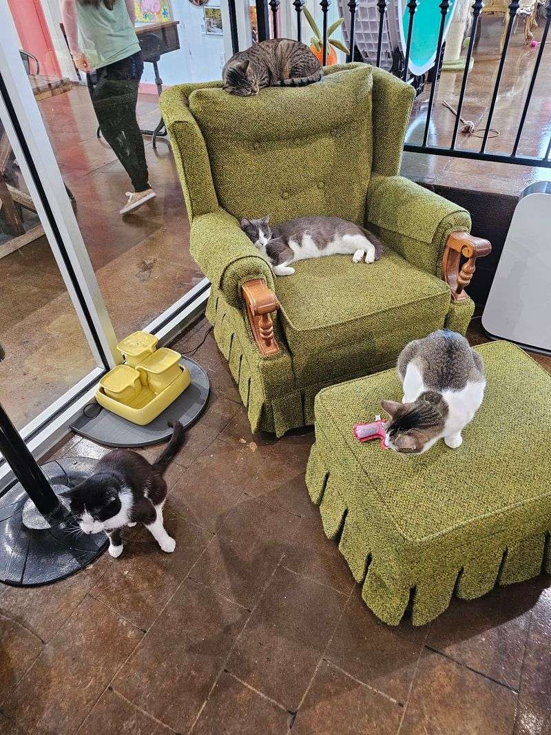 Reservations Make or Break the Visit