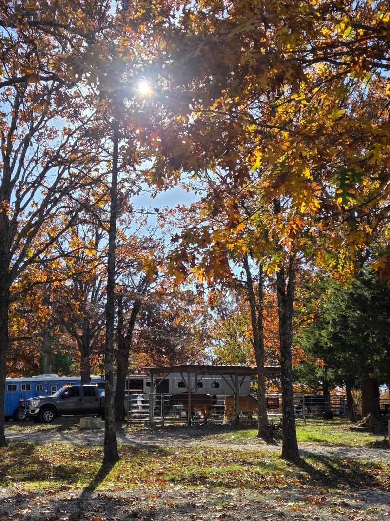 Ridge Ponds, Camping, And Smart Planning Ridge Ponds, Camping, And Smart Planning