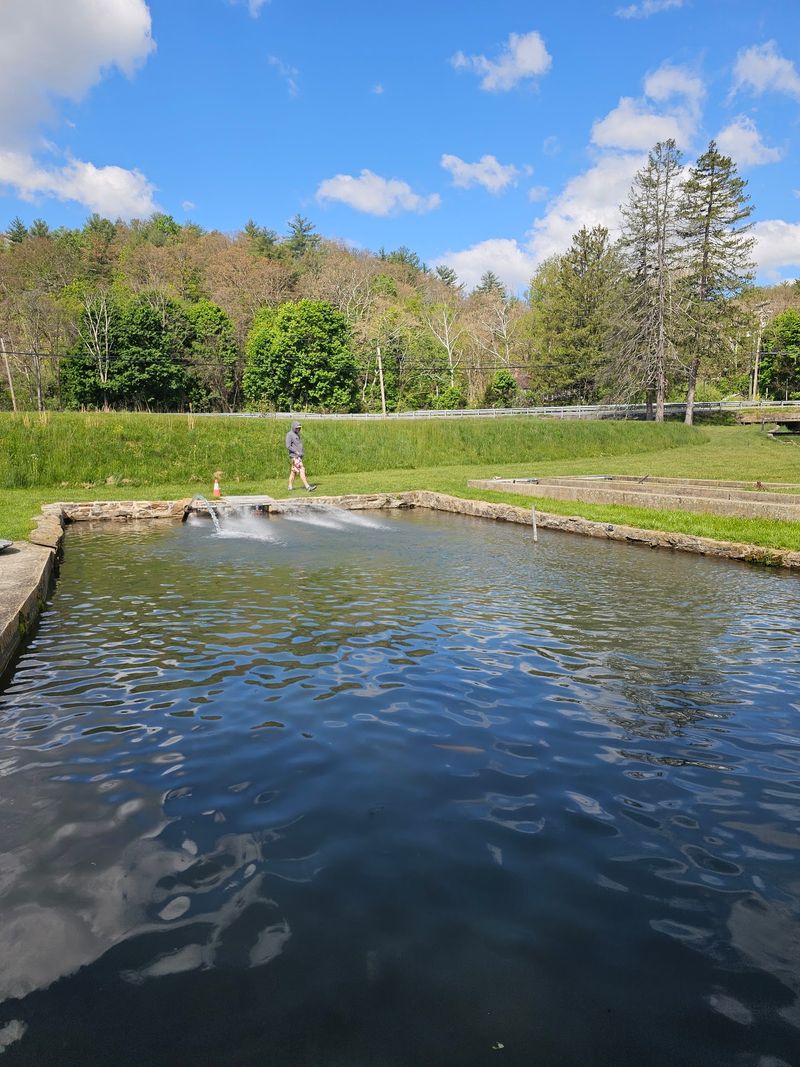Ridge State Fish Farm & Hatchery