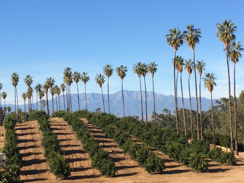 Riverside Has Bragging Rights Most Cities Would Love to Steal