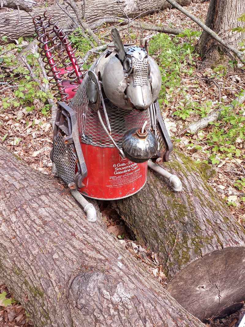 Robots and Rockets Have Landed in the Woods