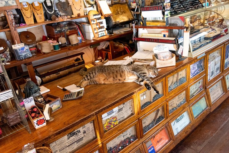 Rocking Chairs, a Dulcimer, and One Famous Cat