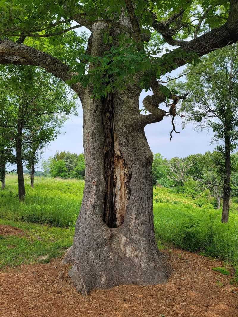 Rocky Glades You Might Not Know Existed