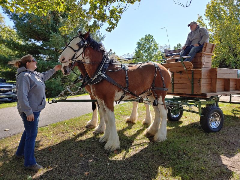 Rolling Down Country Roads by Wagon